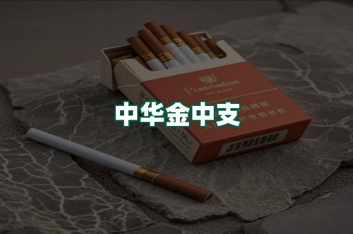 中华金中支
